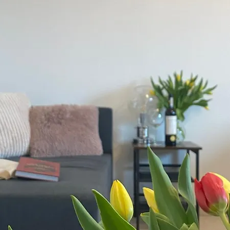 Apartmán Coaster Energylandia -