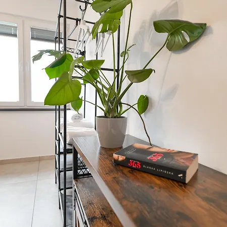 Coaster Energylandia - *