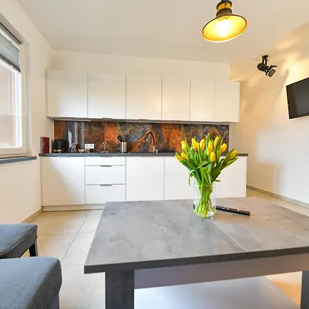 Apartmán Coaster Energylandia - *