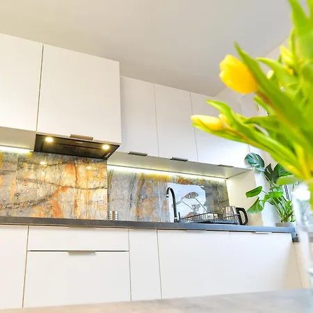 Coaster Energylandia - * Zator