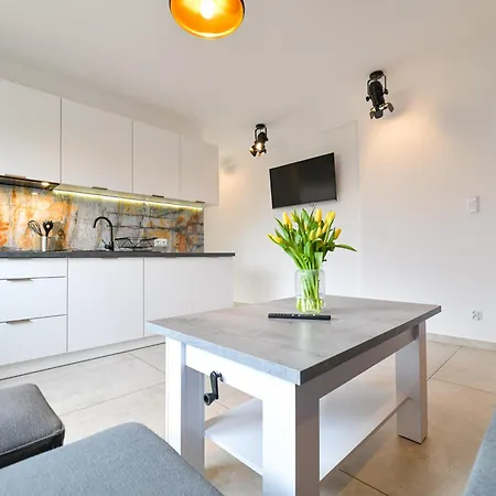 Coaster Energylandia - Apartment