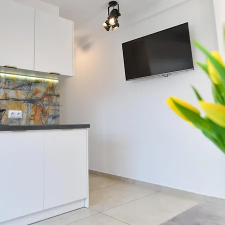 Coaster Energylandia - Zator