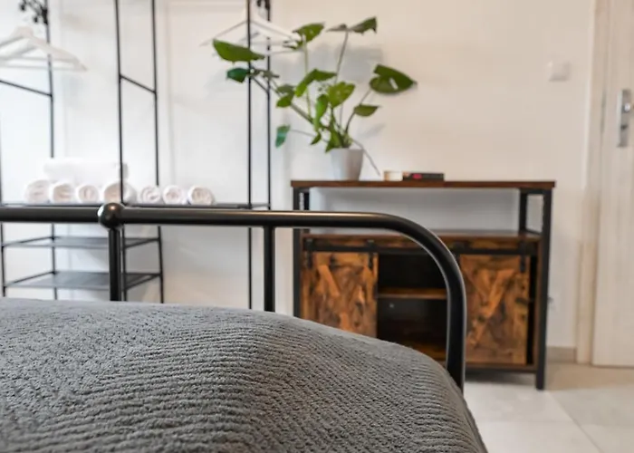 Coaster Energylandia - * زاتور