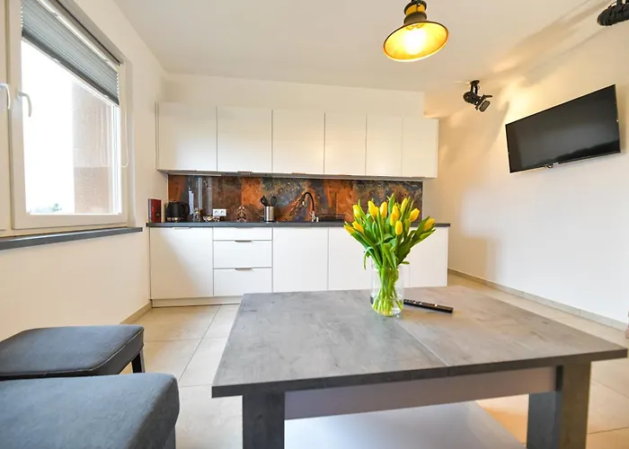 شقة Coaster Energylandia - *